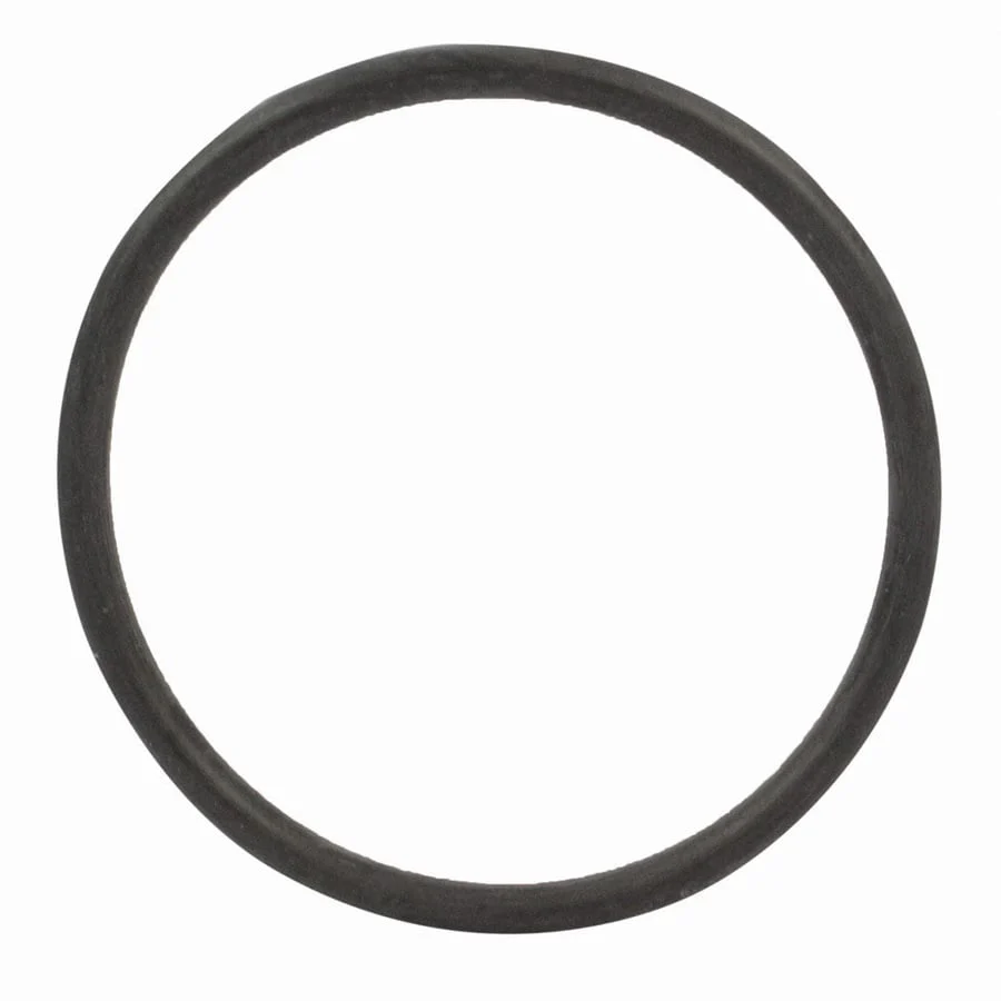 Motorcraft Thermostat Gasket RG571 97-24 Ford