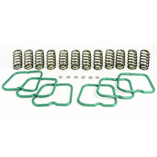 PacBrake HP10240 PacPro Basic Spring Kit (12 HD Valve Springs) 94-98 Dodge 5.9L Cummins